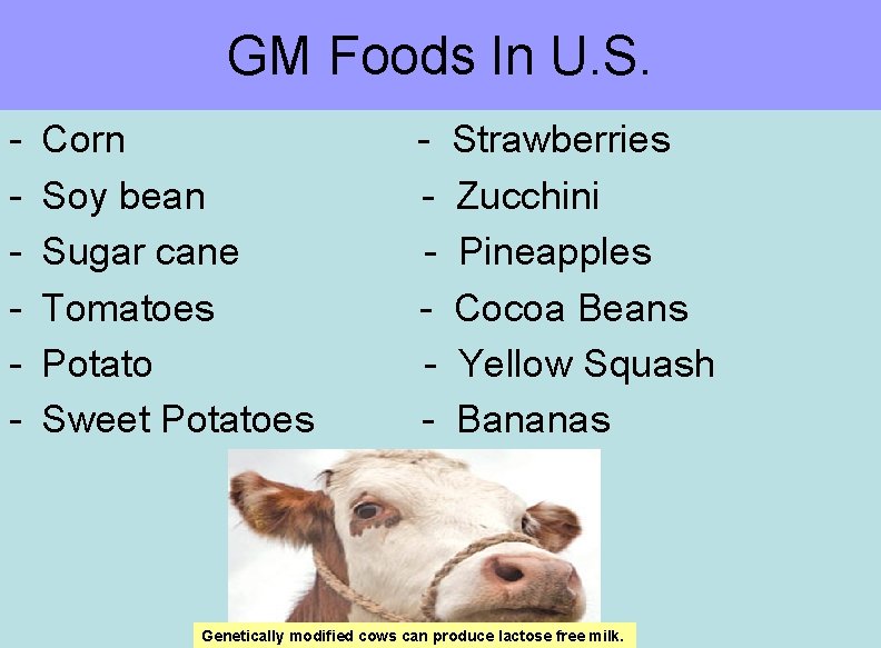 GM Foods In U. S. - Corn Soy bean Sugar cane Tomatoes Potato Sweet