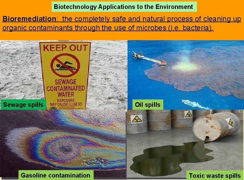 Biotechnology Applications to the Environment Bioremediation: the completely safe and natural process of cleaning