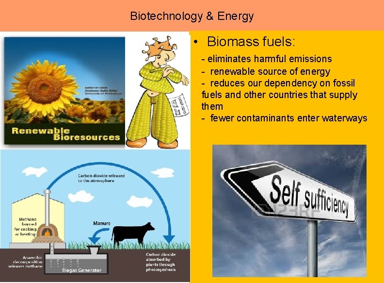 Biotechnology & Energy • Biomass fuels: - eliminates harmful emissions - renewable source of