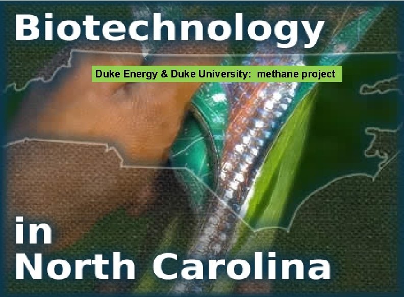 Duke Energy & Duke University: methane project 