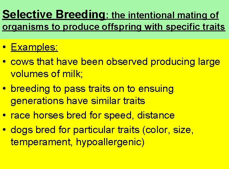 Selective Breeding: the intentional mating of organisms to produce offspring with specific traits •