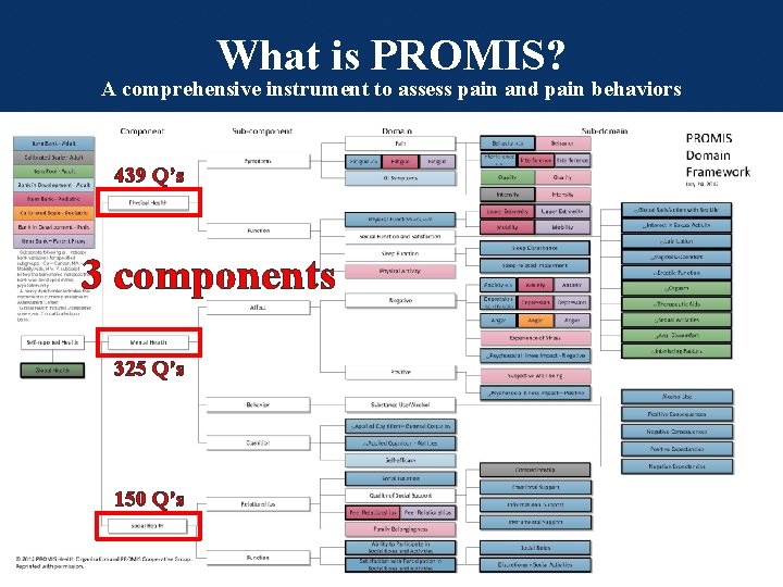 What is PROMIS? A comprehensive instrument to assess pain and pain behaviors 439 Q’s