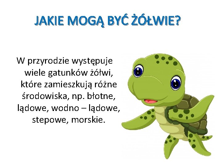 JAKIE MOGĄ BYĆ ŻÓŁWIE? W przyrodzie występuje wiele gatunków żółwi, które zamieszkują różne środowiska,