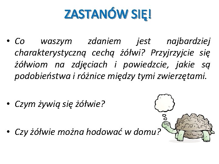 ZASTANÓW SIĘ! • Co waszym zdaniem jest najbardziej charakterystyczną cechą żółwi? Przyjcie się żółwiom