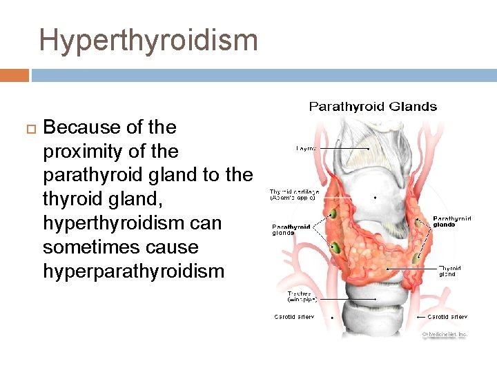 Hyperthyroidism Because of the proximity of the parathyroid gland to the thyroid gland, hyperthyroidism Hyperthyroidism Because of the proximity of the parathyroid gland to the thyroid gland, hyperthyroidism