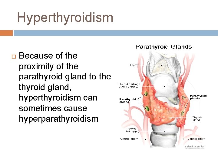 Hyperthyroidism Because of the proximity of the parathyroid gland to the thyroid gland, hyperthyroidism