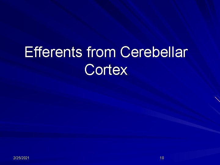 Efferents from Cerebellar Cortex 2/25/2021 10 