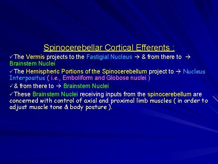 Spinocerebellar Cortical Efferents : üThe Vermis projects to the Fastigial Nucleus & from there