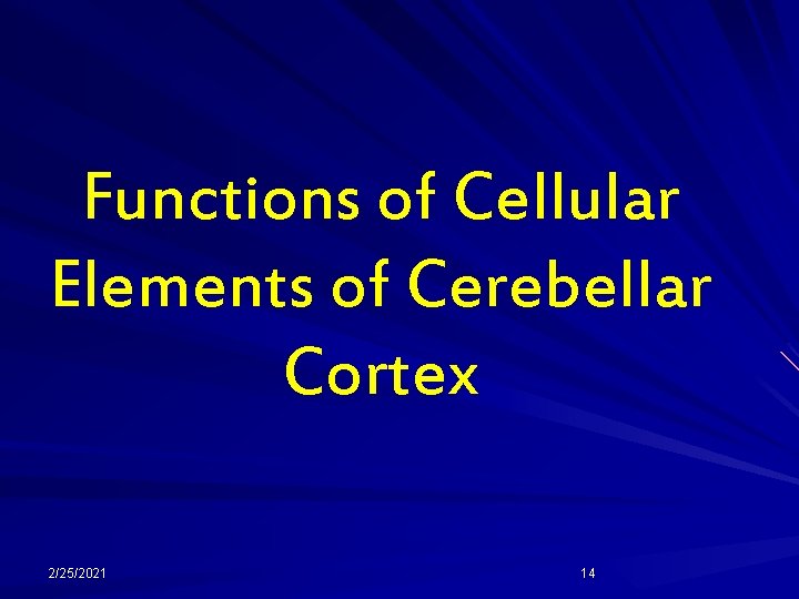 Functions of Cellular Elements of Cerebellar Cortex 2/25/2021 14 