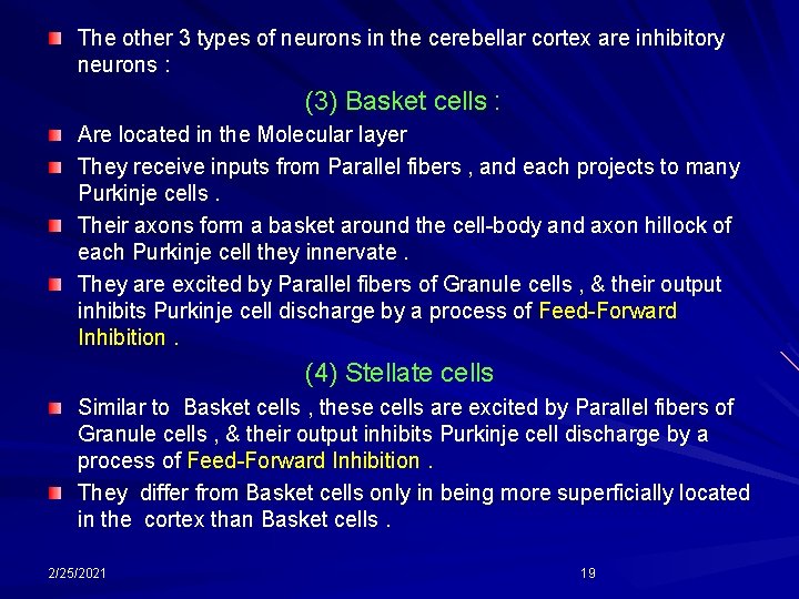 The other 3 types of neurons in the cerebellar cortex are inhibitory neurons :