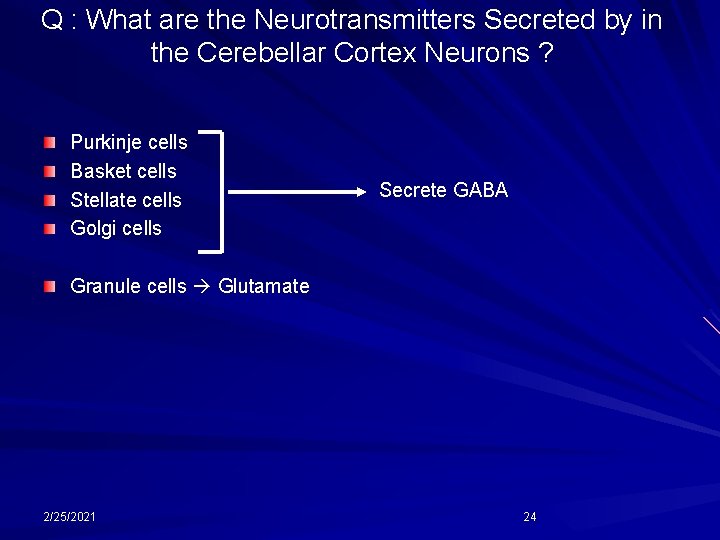 Q : What are the Neurotransmitters Secreted by in the Cerebellar Cortex Neurons ?