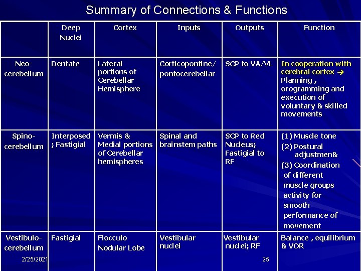 Summary of Connections & Functions Deep Nuclei Cortex Inputs Outputs Function Corticopontine/ pontocerebellar SCP