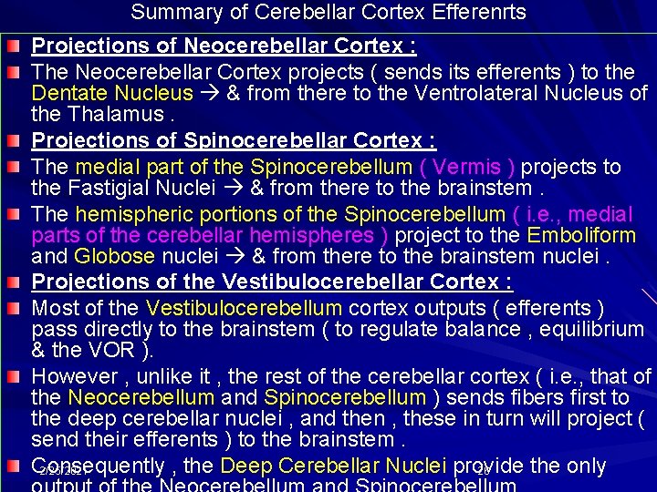 Summary of Cerebellar Cortex Efferenrts Projections of Neocerebellar Cortex : The Neocerebellar Cortex projects