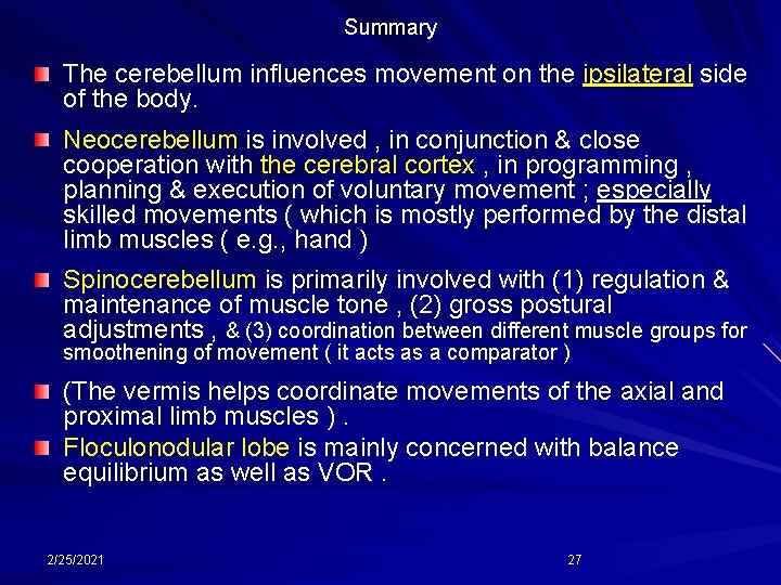 Summary The cerebellum influences movement on the ipsilateral side of the body. Neocerebellum is