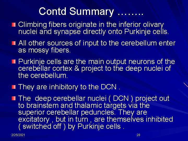 Contd Summary ……. . Climbing fibers originate in the inferior olivary nuclei and synapse