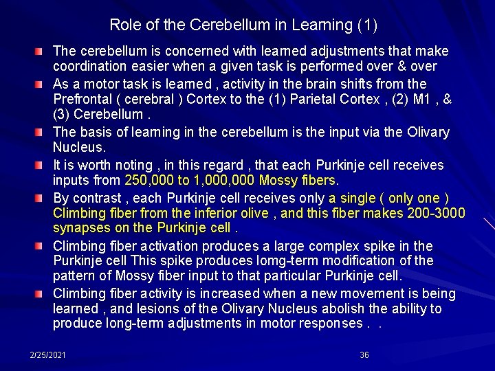 Role of the Cerebellum in Learning (1) The cerebellum is concerned with learned adjustments