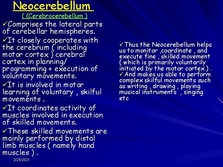 Neocerebellum ( (Cerebrocerebellum ) üComprises the lateral parts of cerebellar hemispheres. üIt closely cooperates