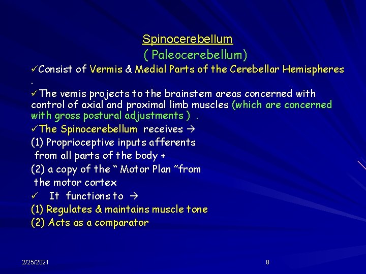 Spinocerebellum ( Paleocerebellum) üConsist of Vermis & Medial Parts of the Cerebellar Hemispheres .