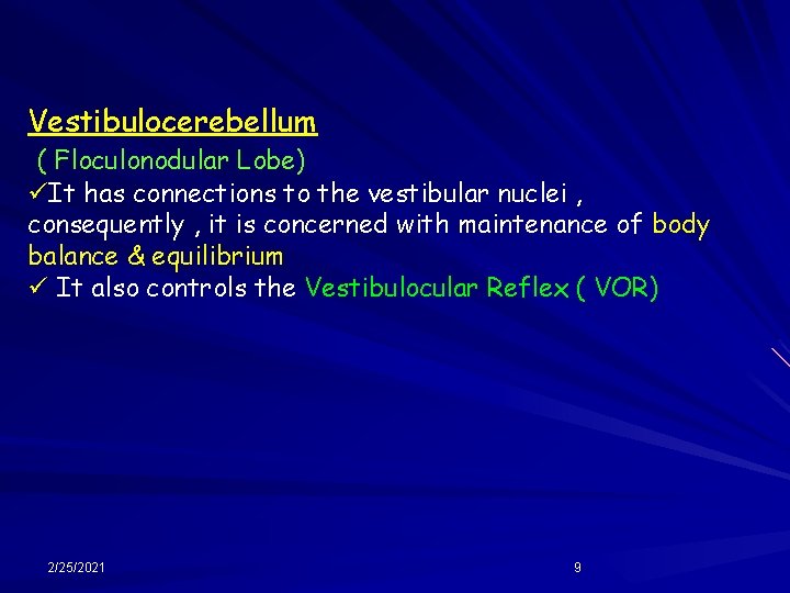Vestibulocerebellum ( Floculonodular Lobe) üIt has connections to the vestibular nuclei , consequently ,