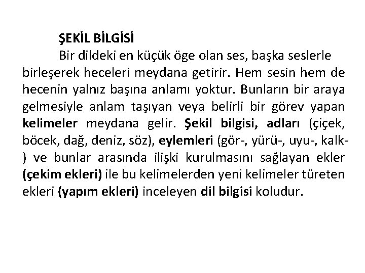 ŞEKİL BİLGİSİ Bir dildeki en küçük öge olan ses, başka seslerle birleşerek heceleri meydana