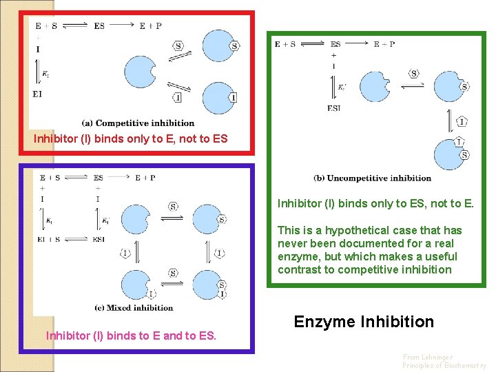 Inhibitor (I) binds only to E, not to ES Inhibitor (I) binds only to
