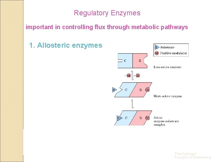 Regulatory Enzymes important in controlling flux through metabolic pathways 1. Allosteric enzymes 2. Regulation