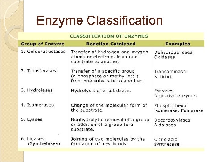Enzyme Classification 