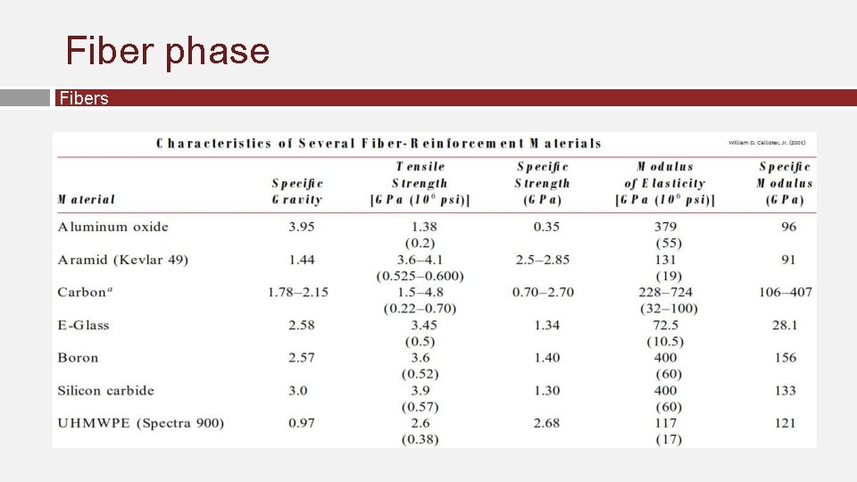 Fiber phase Fibers 