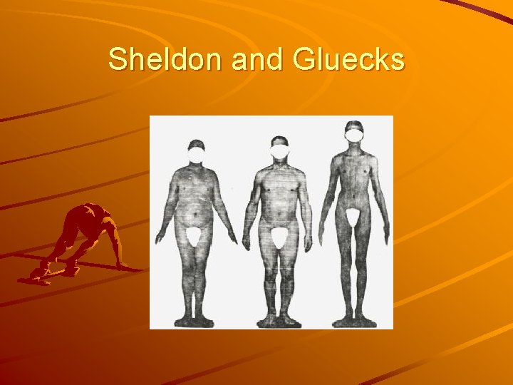 Sheldon and Gluecks 