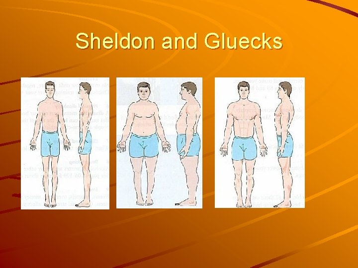 Sheldon and Gluecks 