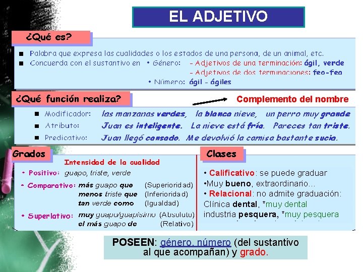 EL ADJETIVO Complemento del nombre Calificativo: se se puede graduar • • Calificativo: Muy