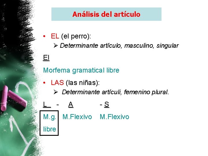 Análisis del artículo • EL (el perro): Ø Determinante artículo, masculino, singular El Morfema