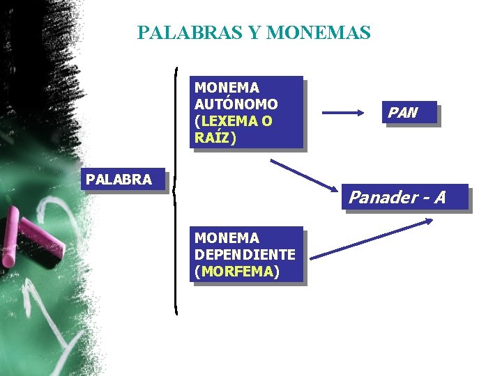 PALABRAS Y MONEMAS MONEMA AUTÓNOMO (LEXEMA O RAÍZ) PALABRA PAN Panader - A MONEMA