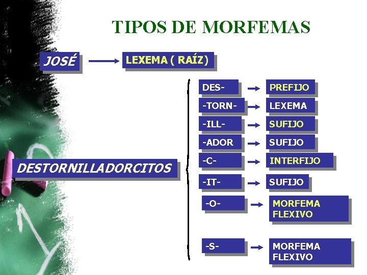 TIPOS DE MORFEMAS JOSÉ LEXEMA ( RAÍZ) DESTORNILLADORCITOS DES- PREFIJO -TORN- LEXEMA -ILL- SUFIJO