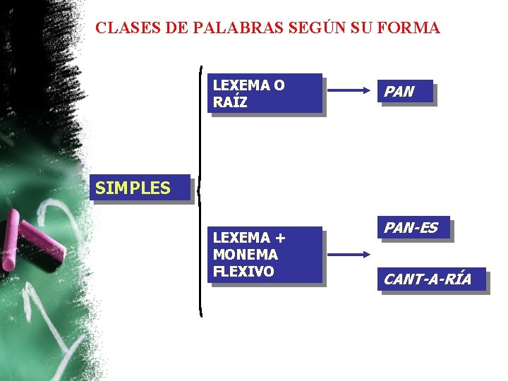 CLASES DE PALABRAS SEGÚN SU FORMA LEXEMA O RAÍZ PAN SIMPLES LEXEMA + MONEMA