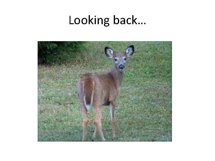 Looking back… 