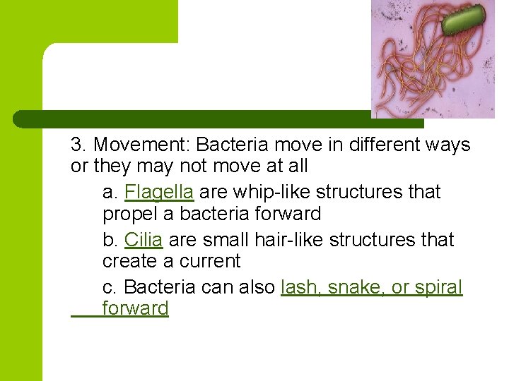 3. Movement: Bacteria move in different ways or they may not move at all