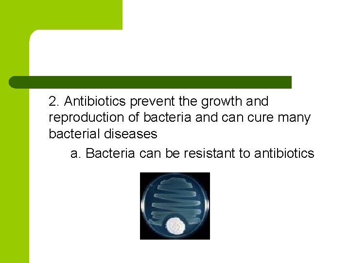 2. Antibiotics prevent the growth and reproduction of bacteria and can cure many bacterial