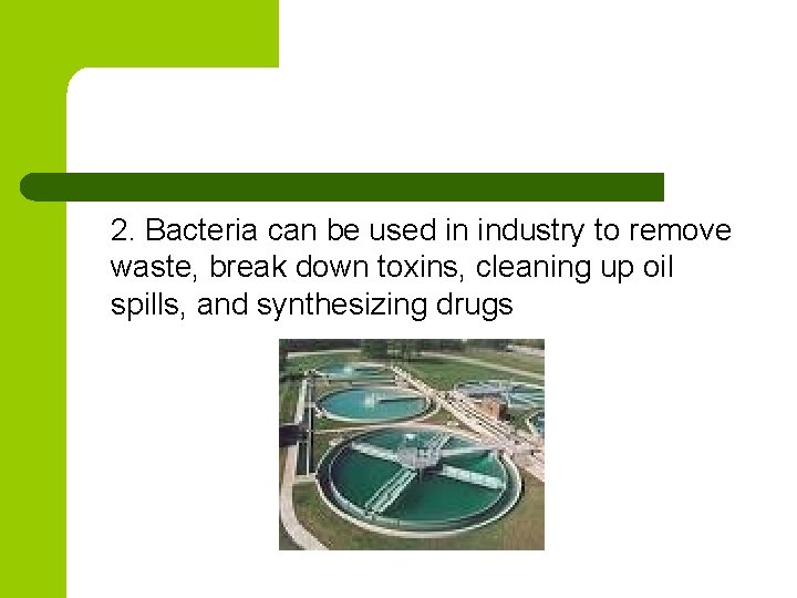 2. Bacteria can be used in industry to remove waste, break down toxins, cleaning
