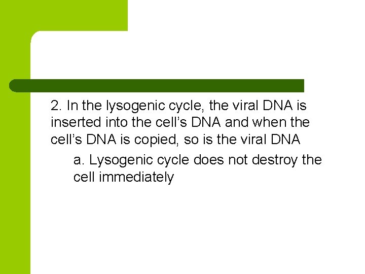 2. In the lysogenic cycle, the viral DNA is inserted into the cell’s DNA