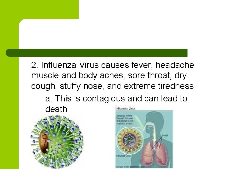 2. Influenza Virus causes fever, headache, muscle and body aches, sore throat, dry cough,