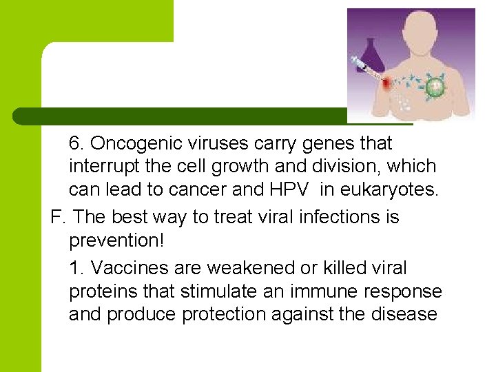 6. Oncogenic viruses carry genes that interrupt the cell growth and division, which can