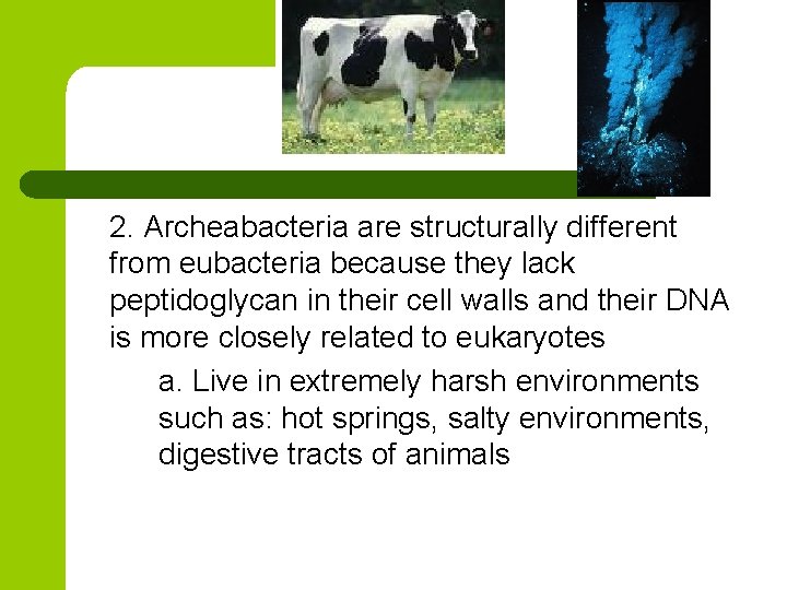 2. Archeabacteria are structurally different from eubacteria because they lack peptidoglycan in their cell