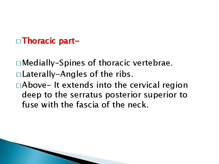 � Thoracic part- � Medially-Spines of thoracic vertebrae. � Laterally-Angles of the ribs. �