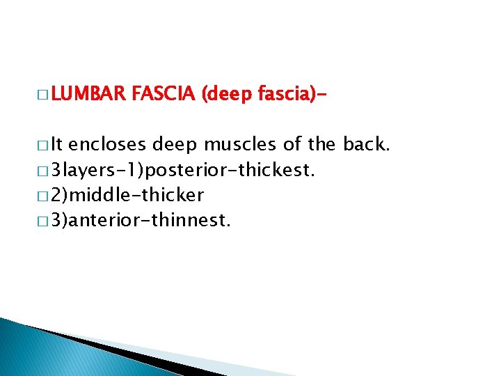 � LUMBAR � It FASCIA (deep fascia)- encloses deep muscles of the back. �