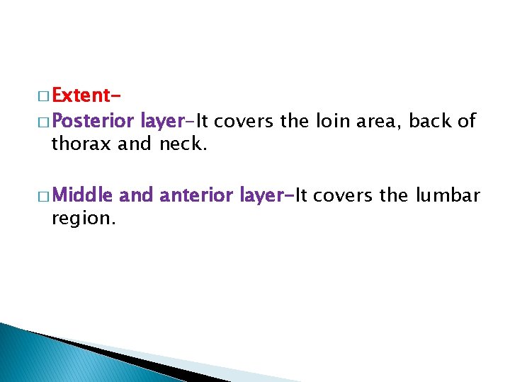 � Extent- � Posterior layer-It covers the loin area, back of thorax and neck.