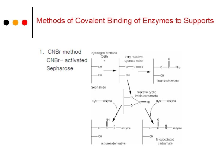 Methods of Covalent Binding of Enzymes to Supports 