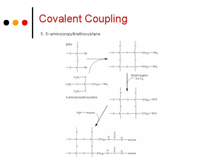 Covalent Coupling 