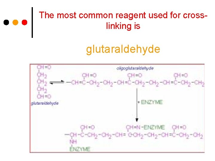 The most common reagent used for crosslinking is glutaraldehyde 