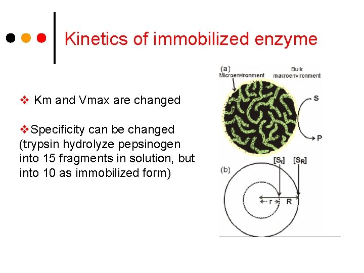 Kinetics of immobilized enzyme v Km and Vmax are changed v. Specificity can be